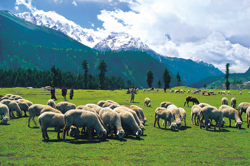 Honeymoon Tour to Kaghan Valley